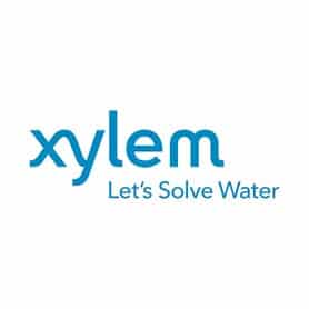 xylem